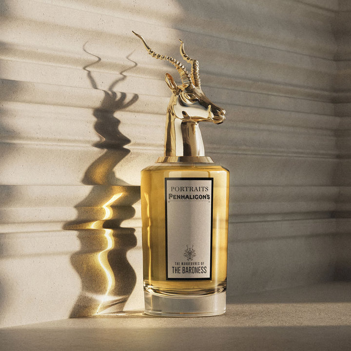 THE MANOUVRE OF THE BARONESS