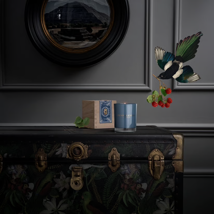 ROANOKE IVY - Candle