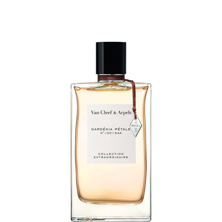 GARDENIA PÉTALE