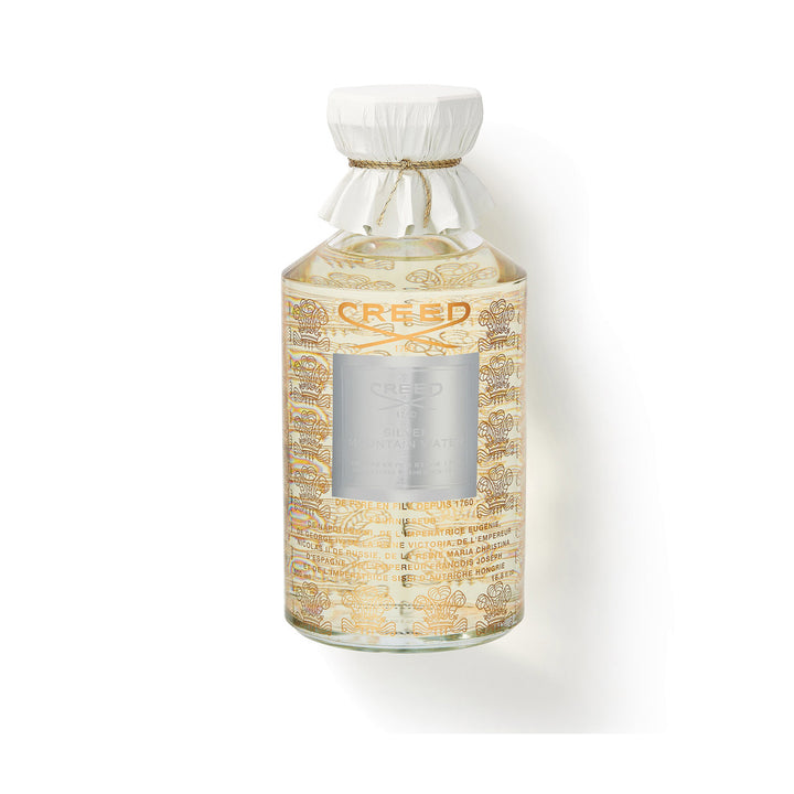 SILVER MOUNTAIN WATER