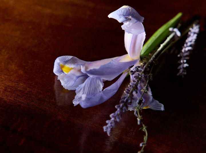 IRIS DEBONAIR
