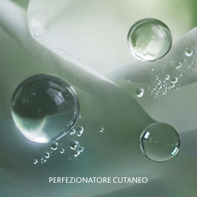 PURE SYSTEM - Pore Refiner Concentrate