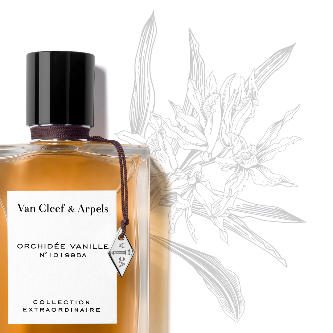 ORCHIDÉE VANILLE