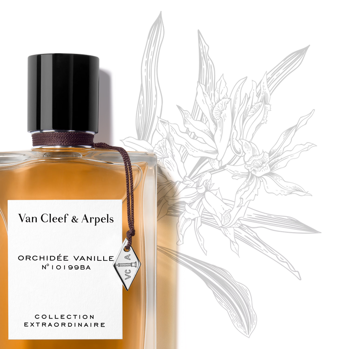 ORCHIDÉE VANILLE