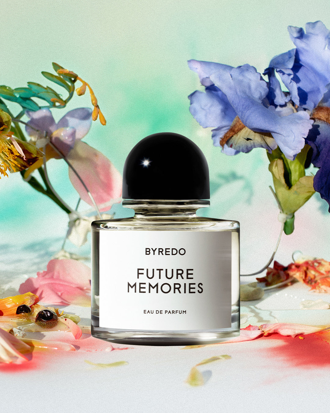 FUTURE MEMORIES