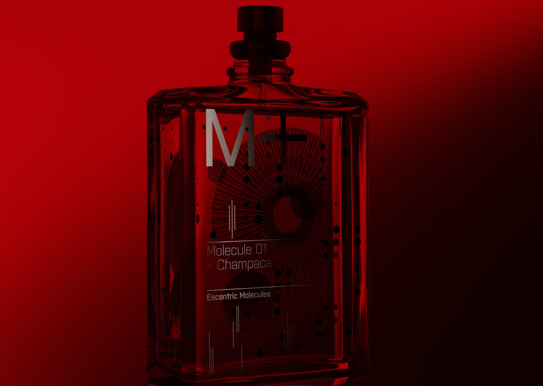 MOLECULE 01 + Champaca