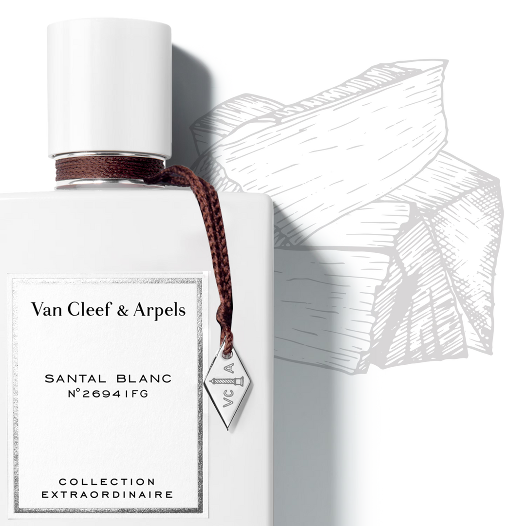 SANTAL BLANC