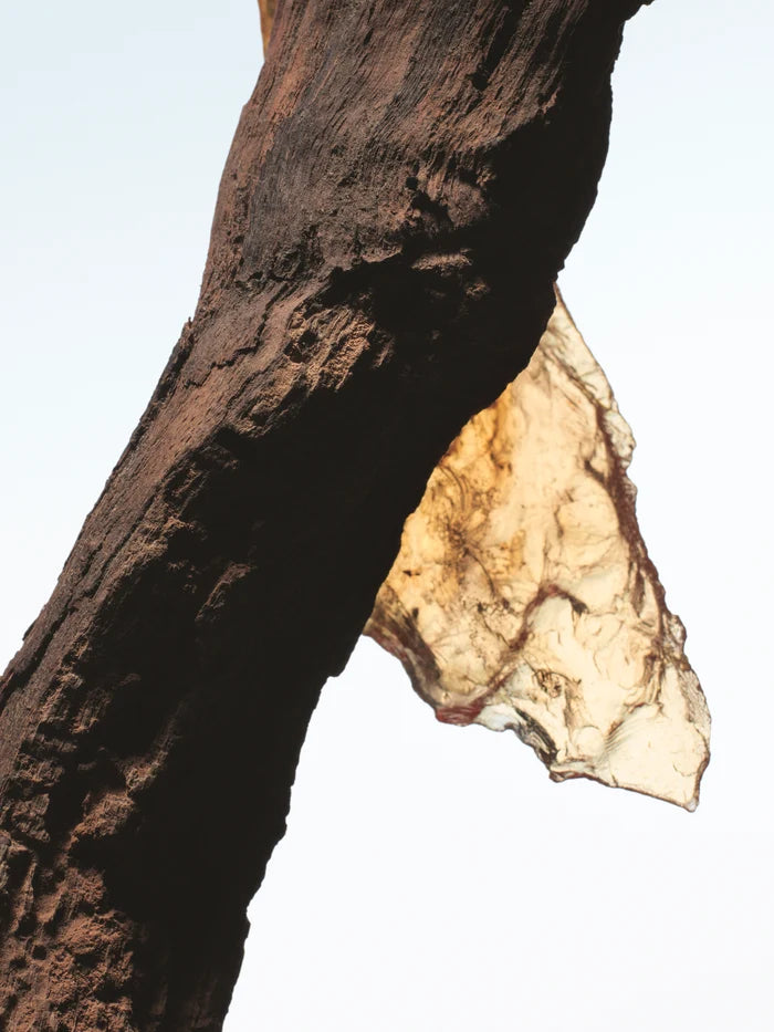 ROCK THE MYRRH
