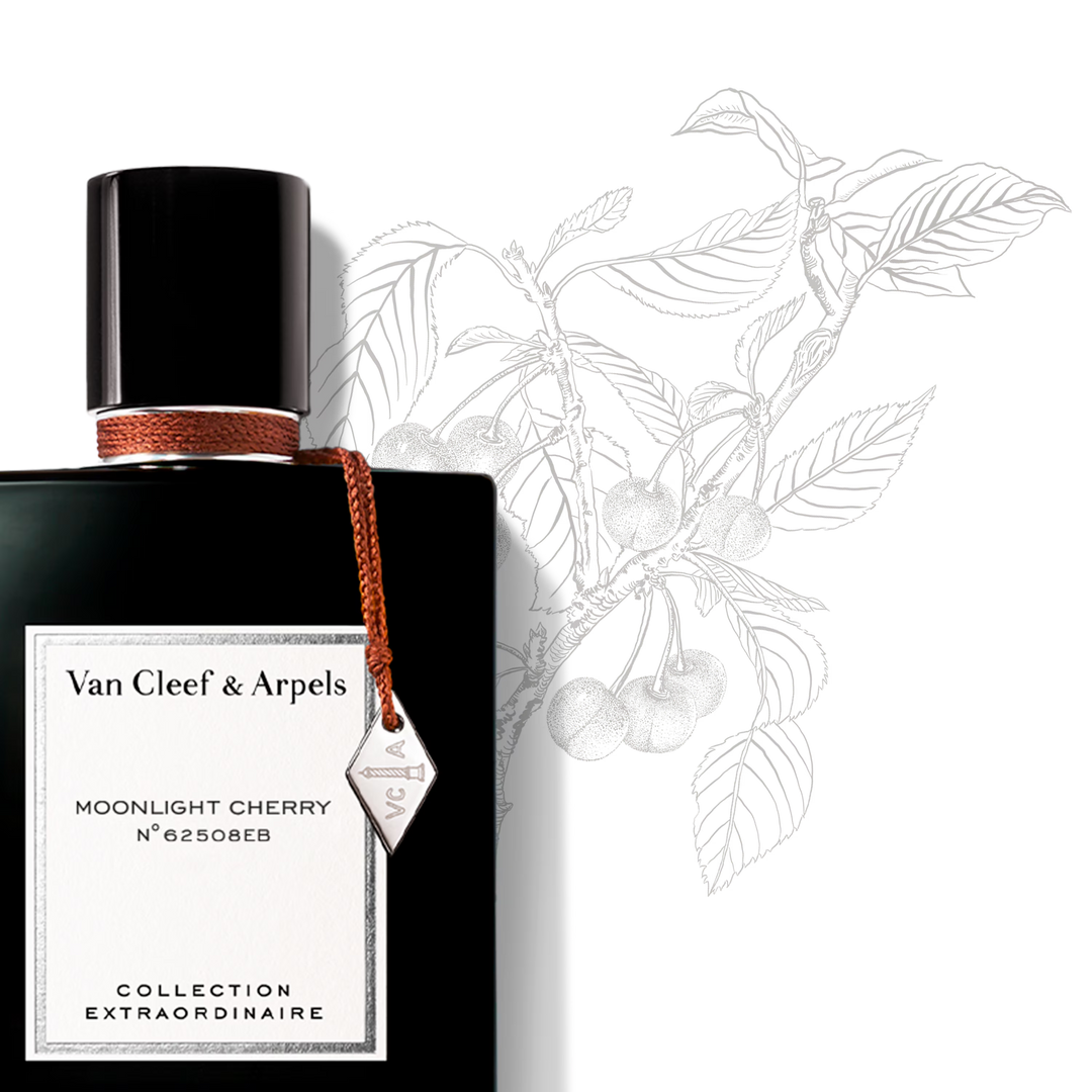 MOONLIGHT CHERRY