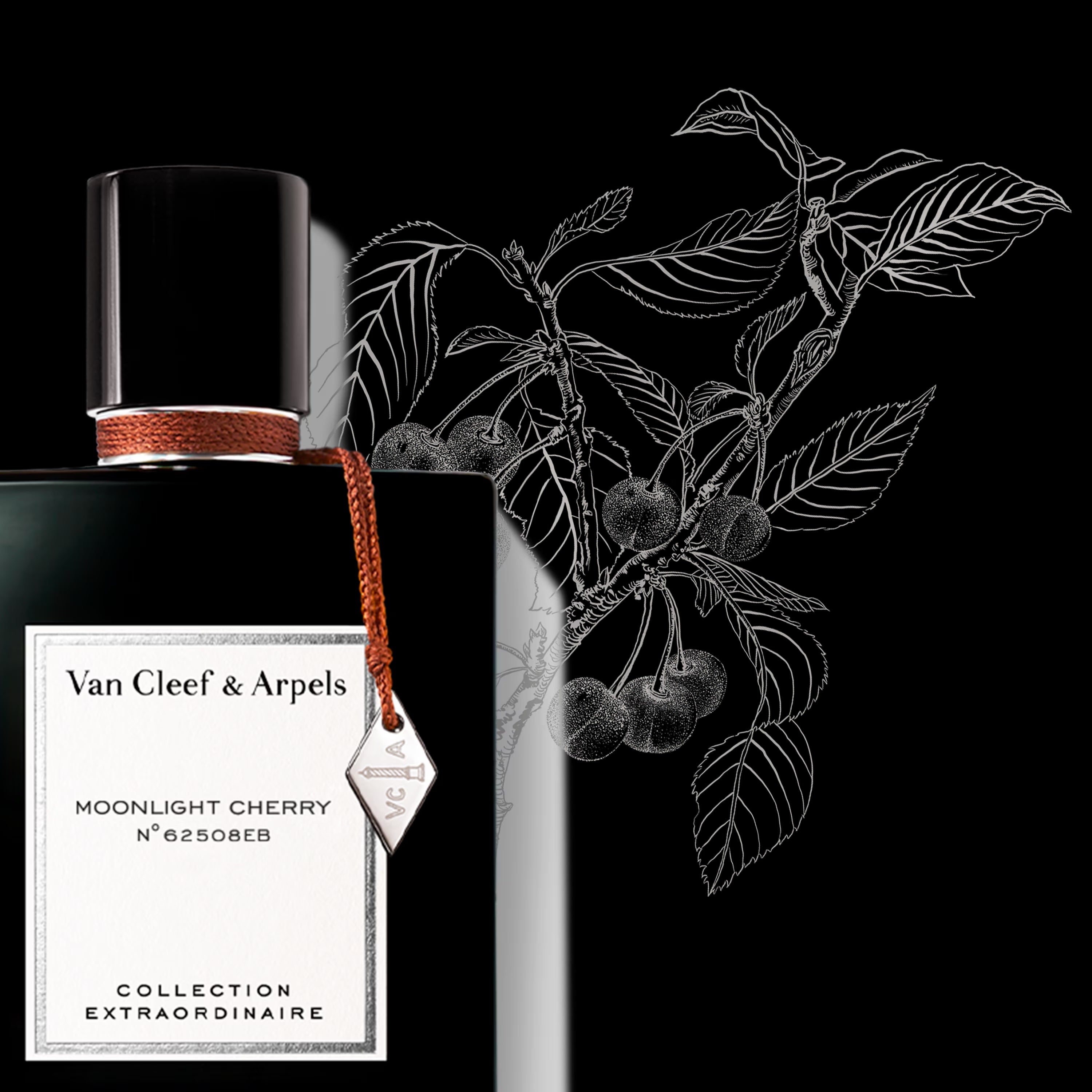 香水(ユニセックス) Van Cleef & Arpels Moonlight Cherry 75mL Moonlight Cherry Van Cleef &amp; Arpels perfume - a new