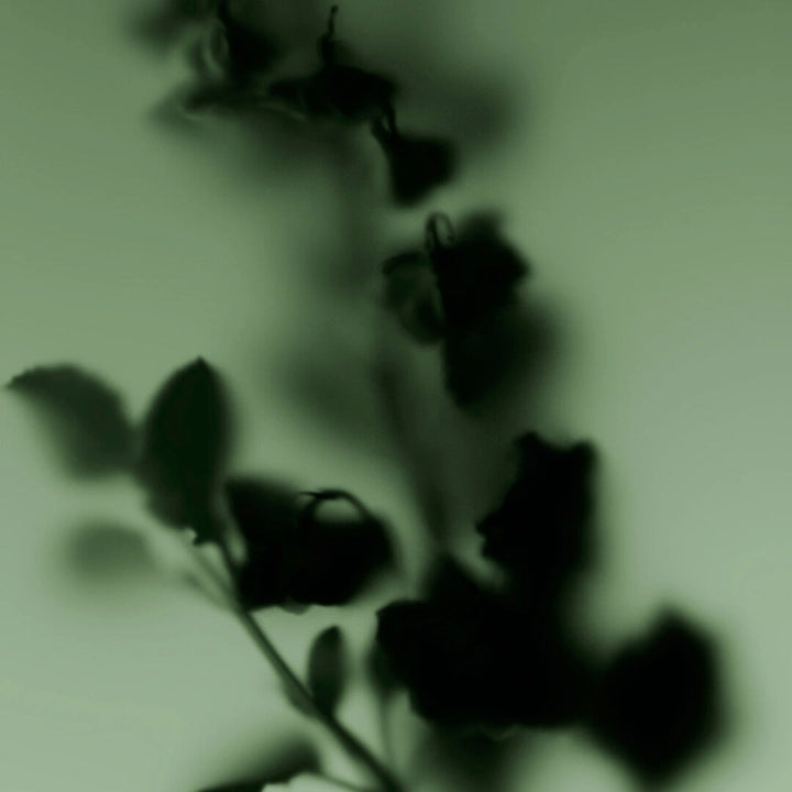 MOLECULE 01 + CLARY SAGE