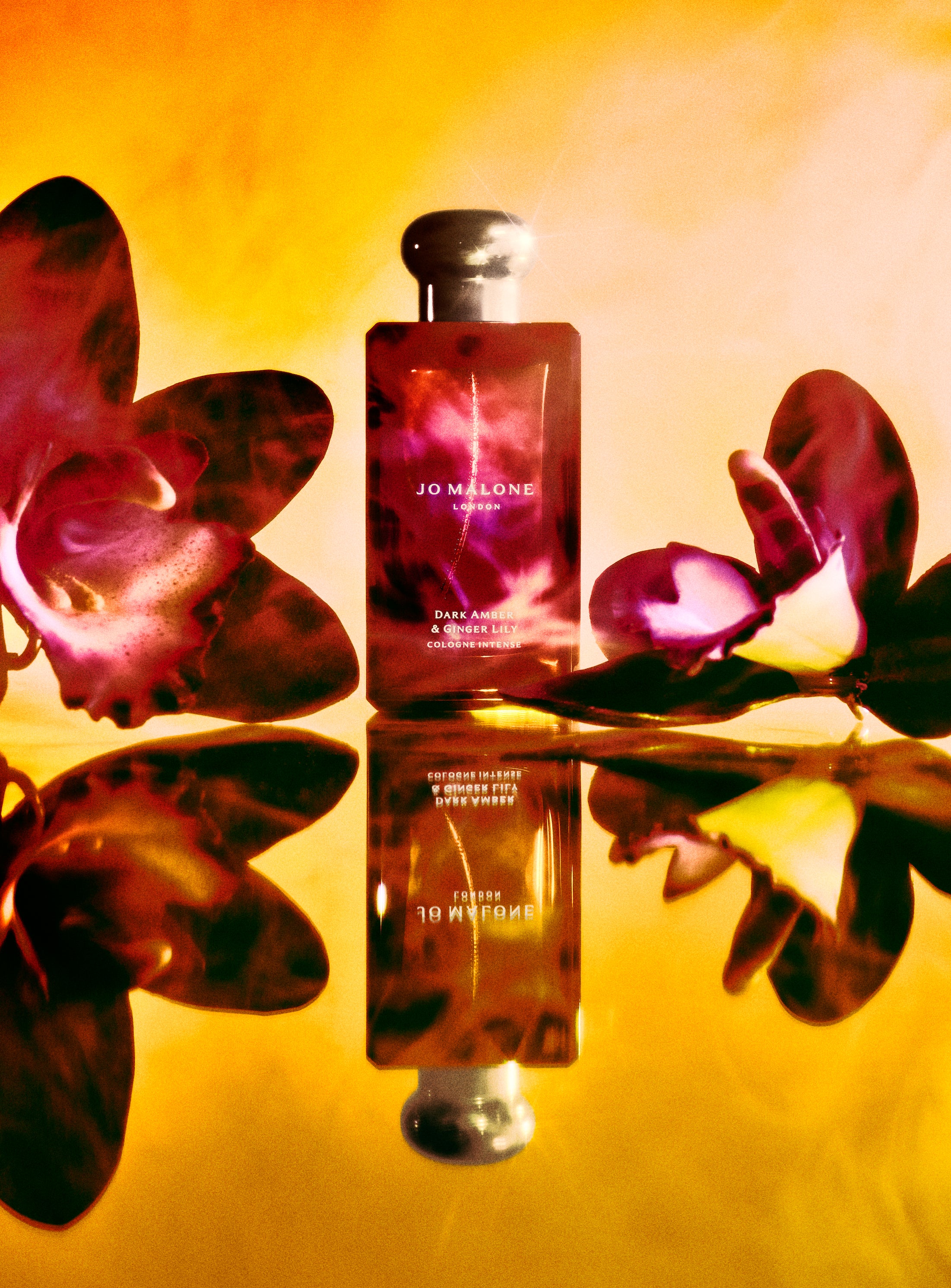 DARK AMBER & GINGER LILY - Cologne Intense – Profumerie Liberti