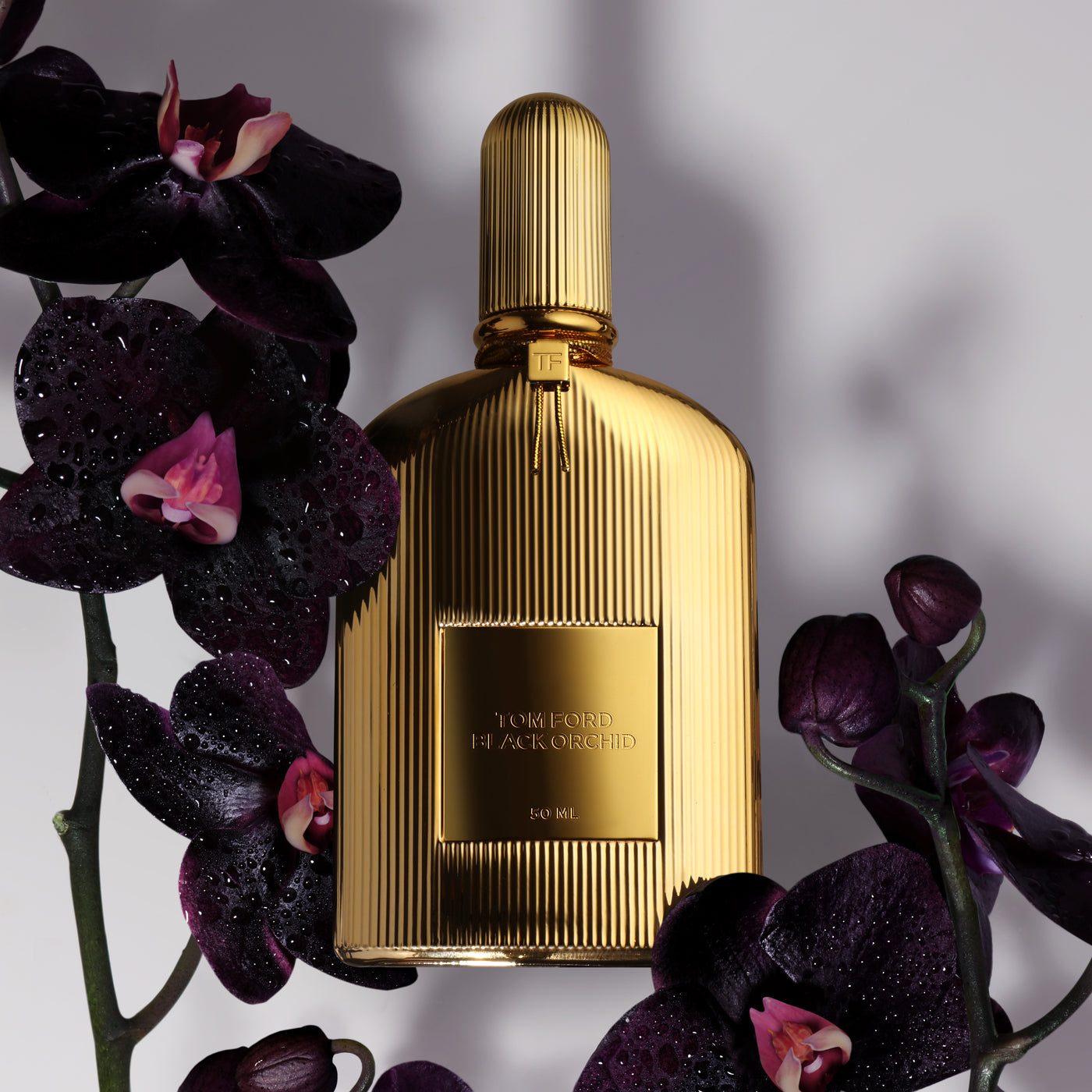 Black Orchid - Parfum