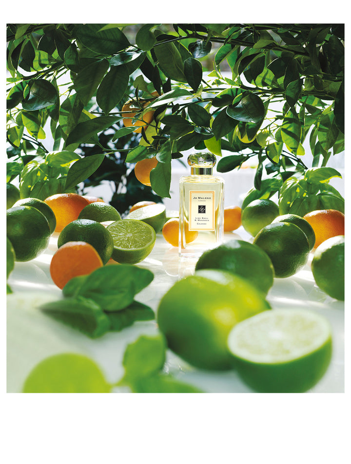 LIME BASIL & MANDARIN - Cologne